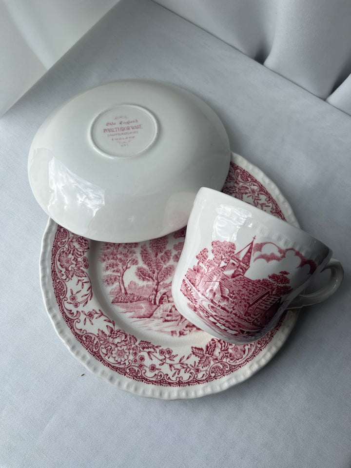 Staffordshire Old English  ‘Royal Tudor Ware’ England
