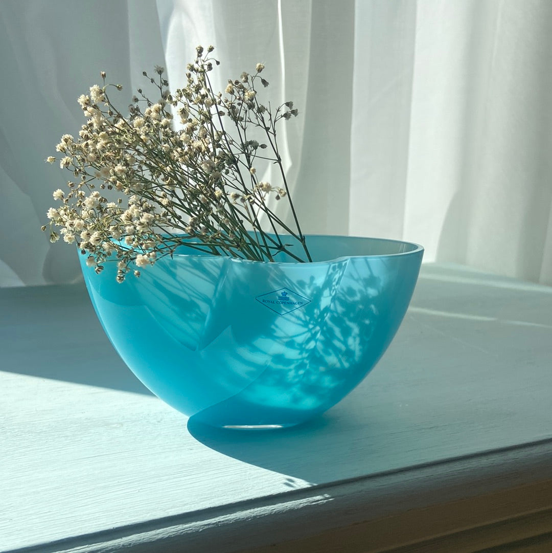 🆘Royal Copenhagen Glasschale