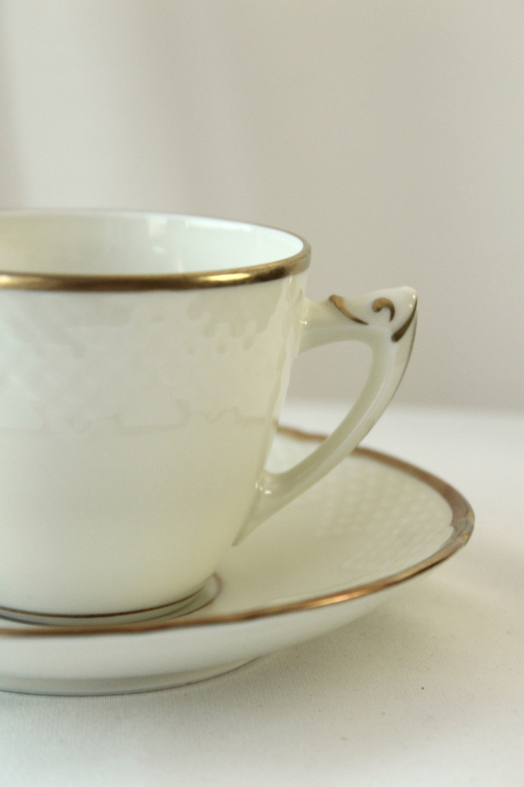 Bing und Grøndahl „Aakjær“ Kaffeetasse und Untertasse